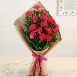 Carnations