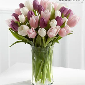 Tulips