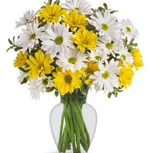 Upsy Daisy Bouquet