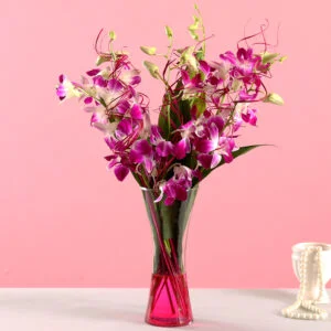 Vibrant Purple Orchid Bunch